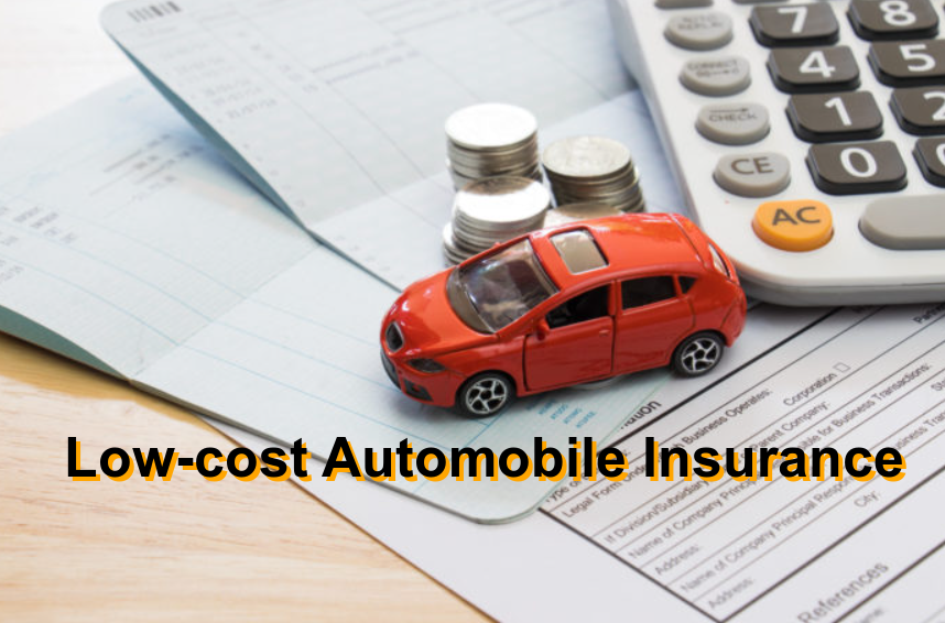 Low-cost Automobile Insurance